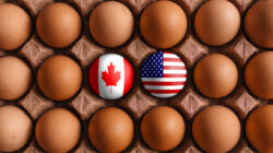 Trade Deadline Looms After Canada’s Inflation Data For July F Us Can9