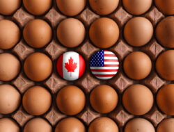 Trade Deadline Looms After Canada’s Inflation Data For July