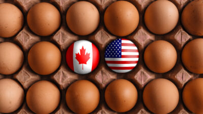 Trade Deadline Looms After Canada’s Inflation Data For July F Us Can9