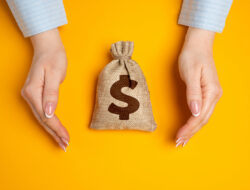 Fx Markets And Central Banks Overview – Usd/Cad – Aud/Usd