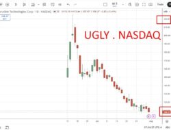 Retail Bagholder Slaughter – Spacex Shares Fall Over 50% From Peak. Musk Was Right.