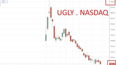 Retail Bagholder Slaughter – Spacex Shares Fall Over 50% From Peak. Musk Was Right.