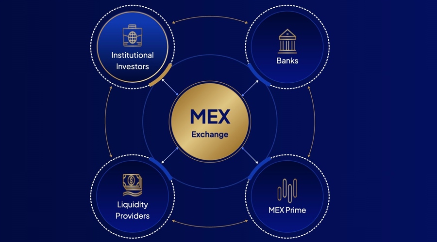 Mex Exchange Undergoes Leadership Reshuffle As Brian Andreyko Succeeds David Ogg As Ceo Mex20Echange2C20Website20Screenshot Id Df75Fa43 Fc80 4193 8Cea 0D5E44A2Ff7F Size900